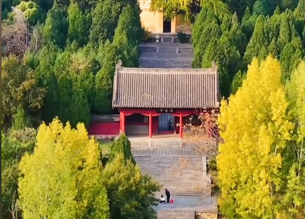 嵩山植被